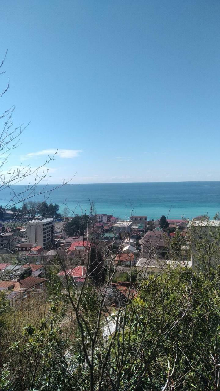 Отдых У Анаиды Gagra Exterior photo