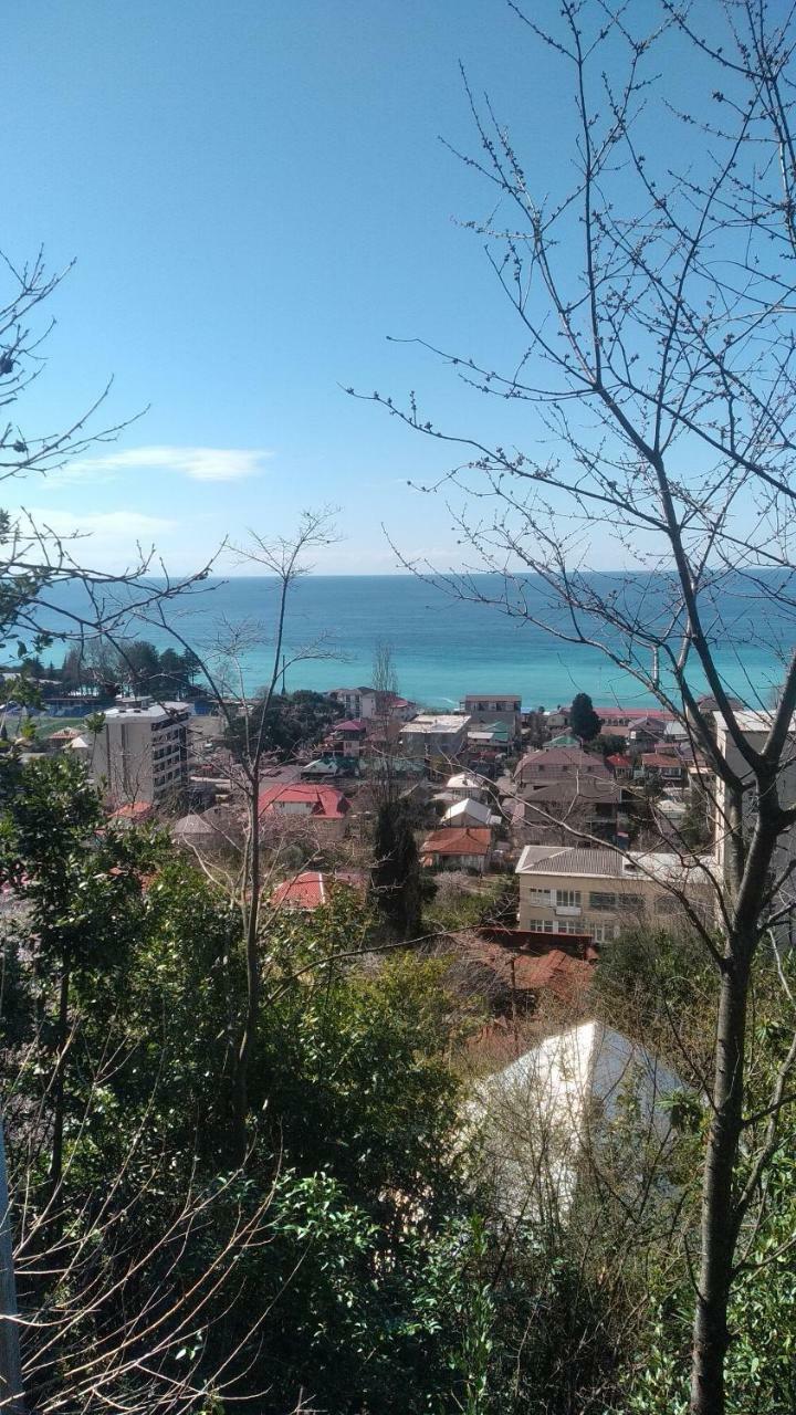 Отдых У Анаиды Gagra Exterior photo
